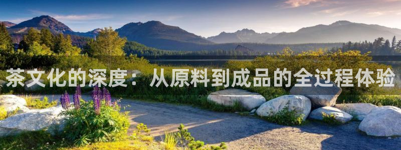 欧星娱乐安全吗