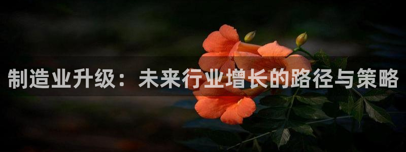 星欧娱乐最新状况