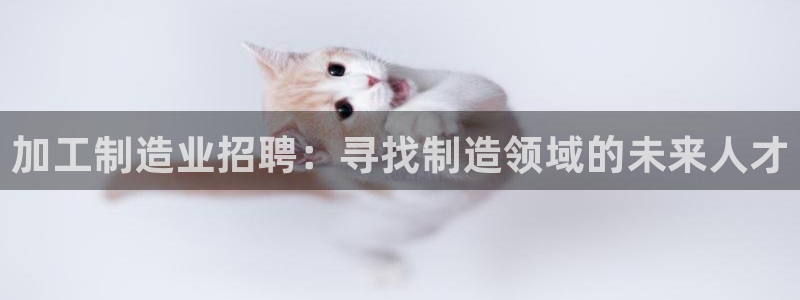 星辉娱乐进入欧联杯了吗