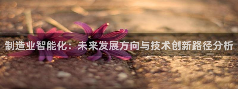 星欧娱乐雀V是什么平台