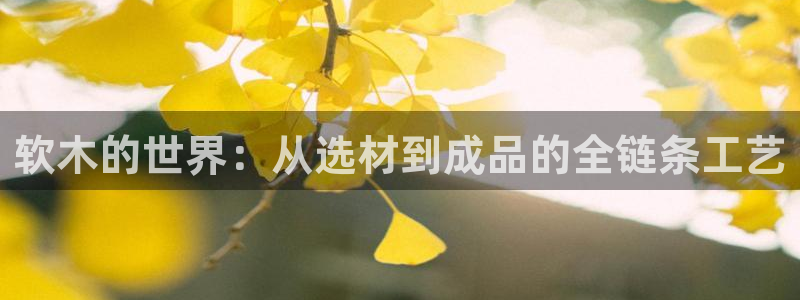 欧星娱乐棋牌官网