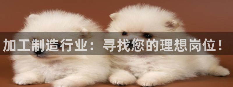 星欧娱乐扣钱步骤详解