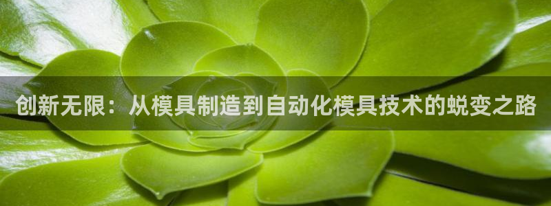 欧星娱乐视频