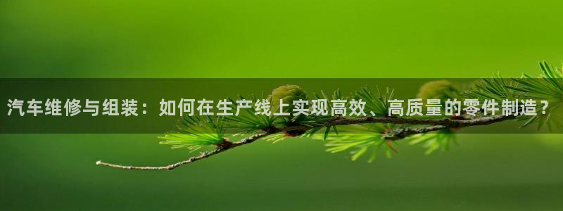 金欧岗星熠娱乐