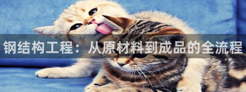 星欧娱乐负责人