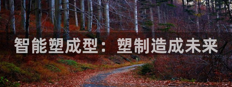 星辉娱乐进入欧连杯