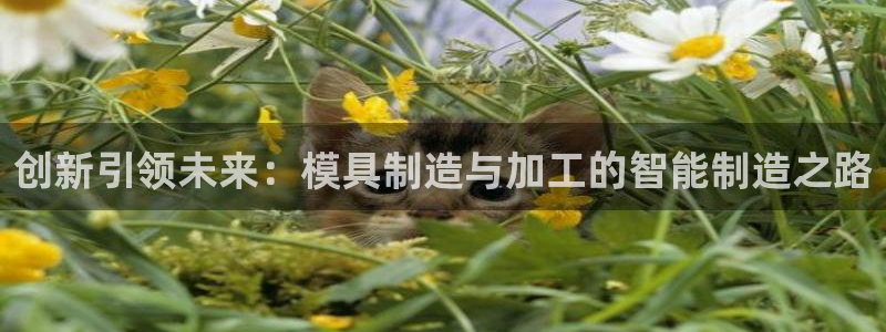 星欧娱乐公司老板背景