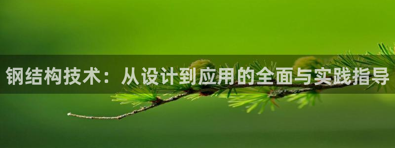 星欧娱乐的创始人背景