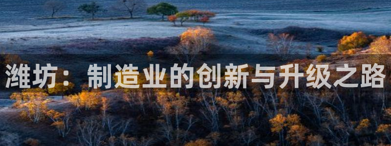 星辉娱乐进入欧联杯了吗