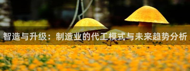 星欧娱乐平台怎么样