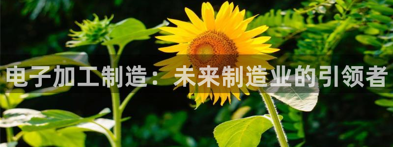 星欧娱乐扣款流程详解