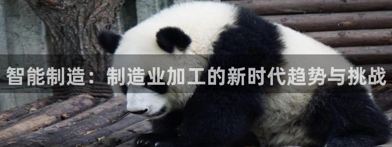 星欧娱乐登录后怎么登录