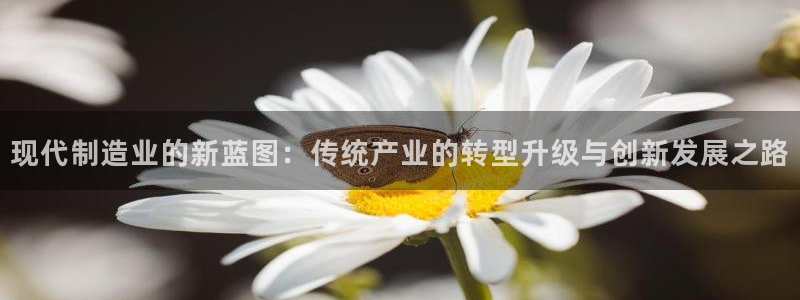 星欧娱乐官网登录