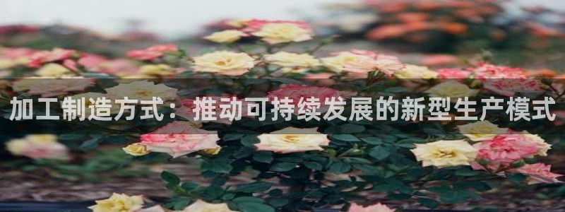 欧星娱乐的活动