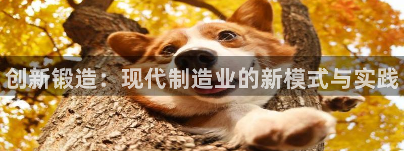 欧乐星城好玩的娱乐场所