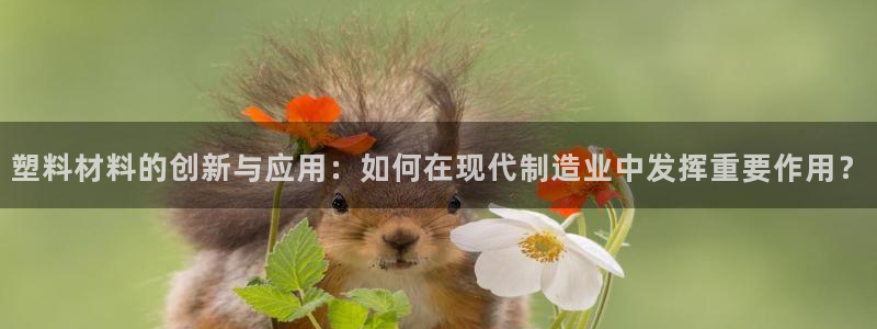 星欧娱乐经纪公司简介