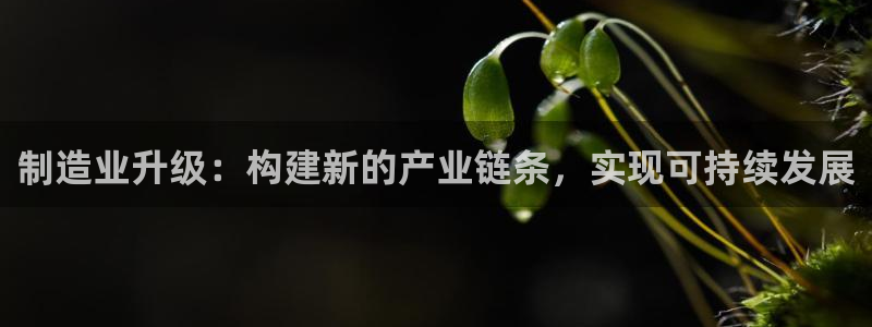 娱乐星天地马思纯欧豪