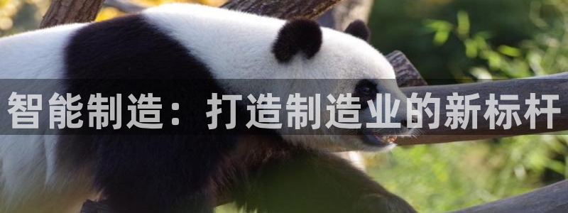 星欧娱乐游戏