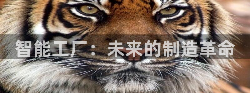 欧星娱乐怎么样