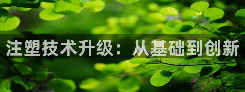 星欧娱乐银行卡怎么登录