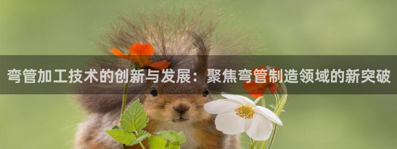 星欧娱乐app登录入口