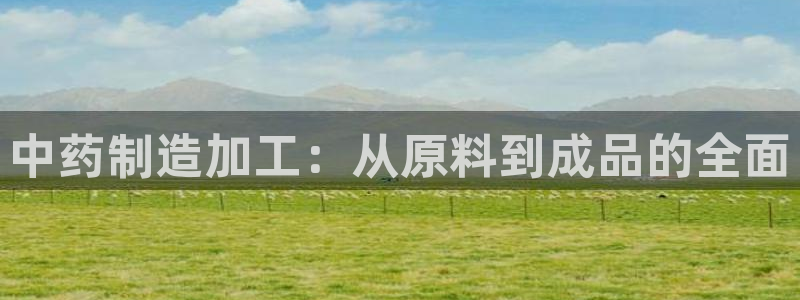 欧联杯正赛星辉娱乐