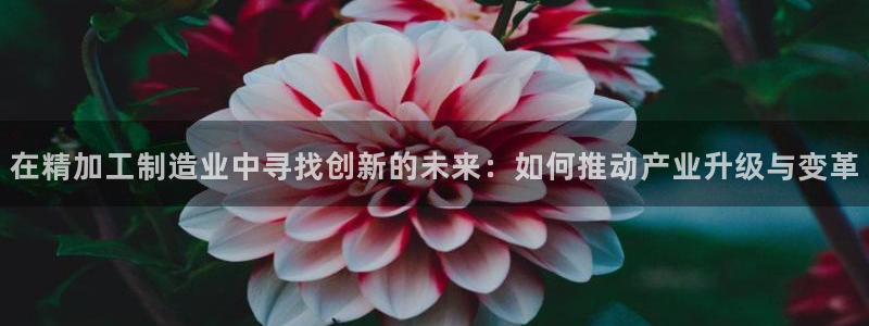 欧星娱乐网络娱乐