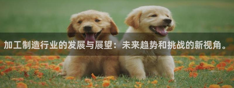 星欧娱乐扣钱步骤详解