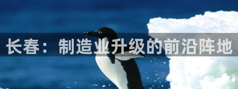 星辉娱乐进入欧联杯了吗