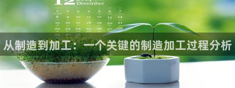 星欧娱乐是什么平台