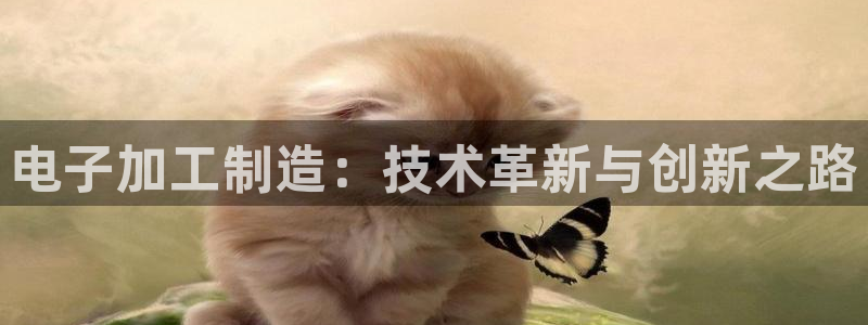 欧星在线娱乐下载安装