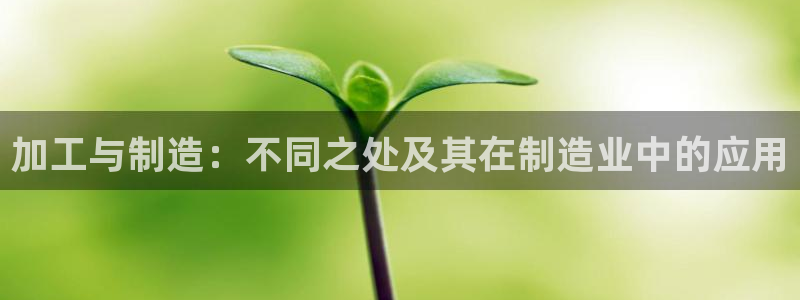 娱乐星天地欧豪