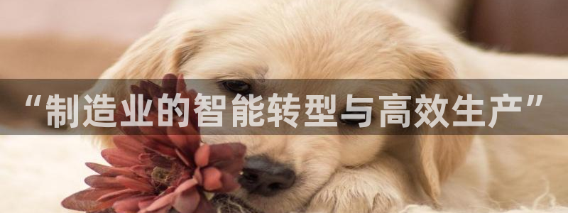 星欧娱乐官网客服电话号码