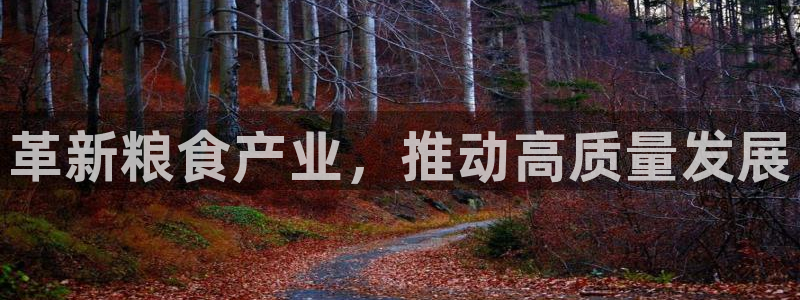 欧星娱乐网络娱乐