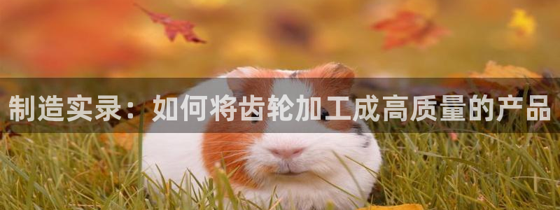 星欧娱乐是什么平台