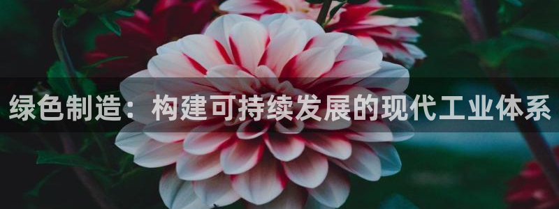 星欧娱乐平台主管