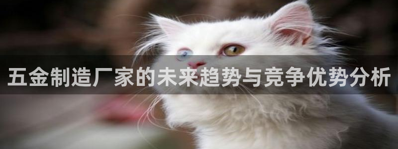 星欧娱乐招商81338