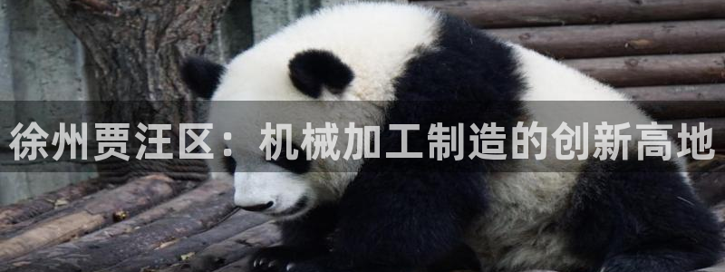 星欧娱乐登录入口