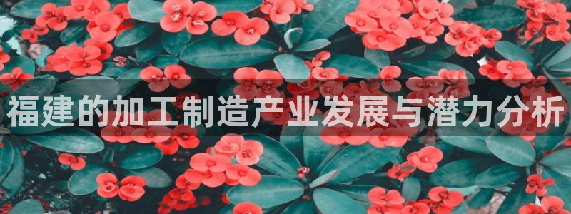 星欧娱乐是什么平台
