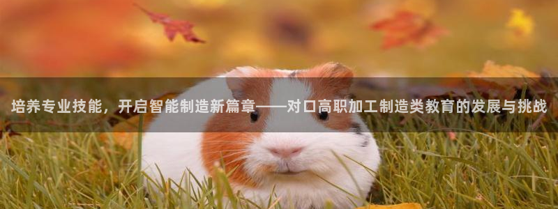 欧星娱乐是做什么的