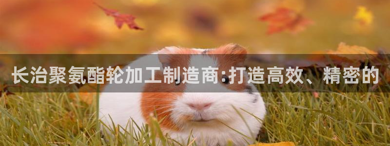 星欧娱乐平台电话