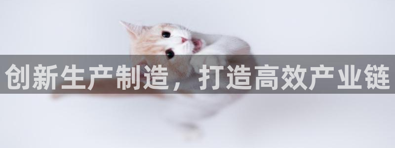 星欧娱乐最新消息今天