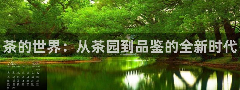 星欧娱乐平台主管