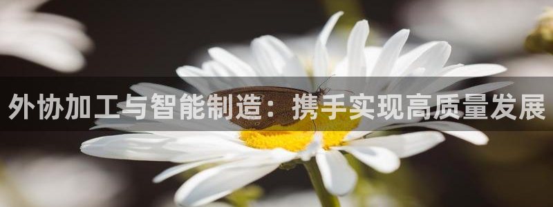 星欧娱乐平台是否安全