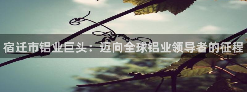 欧亿2娱乐诗星22650j