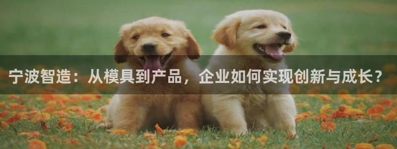 星欧娱乐2024