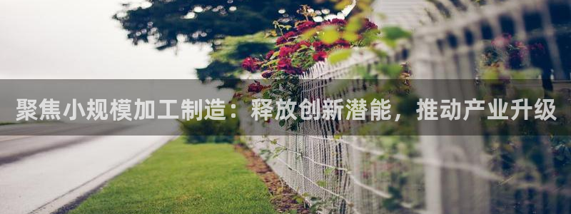 七星娱乐欧包