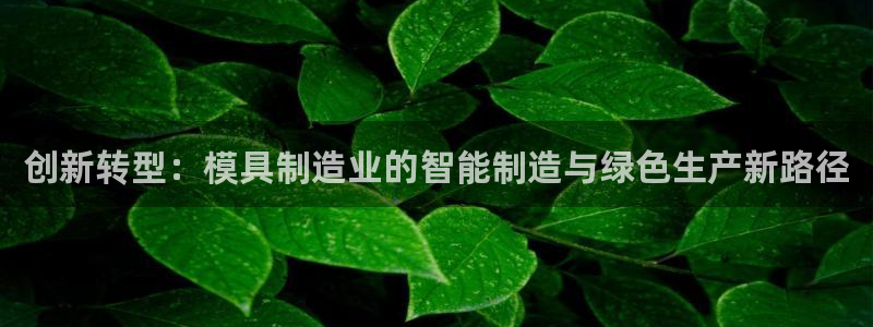 星饭娱乐欧豪
