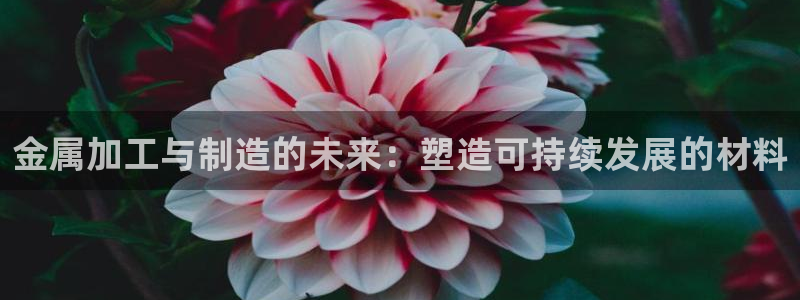 世欧星途娱乐