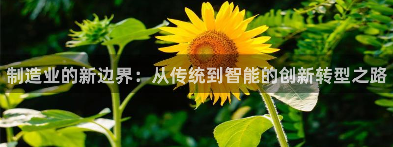 星欧娱乐平台怎么样